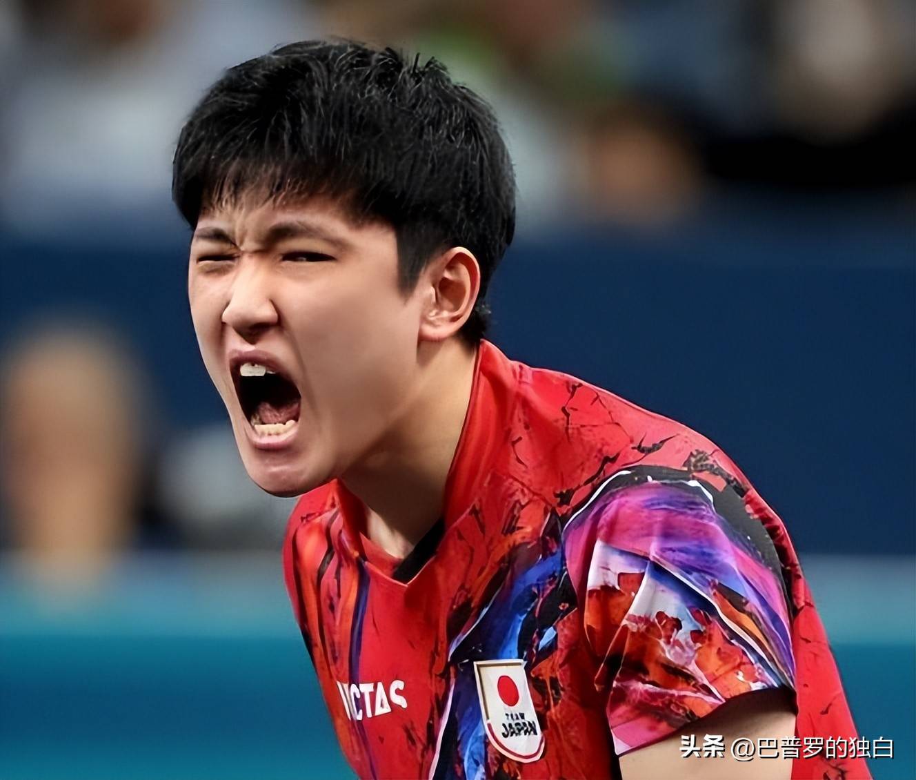 包含韩国队绝杀葡萄牙队,张本智和关键制胜的词条 包含韩国队绝杀葡萄牙队,张本智和关键制胜的词条