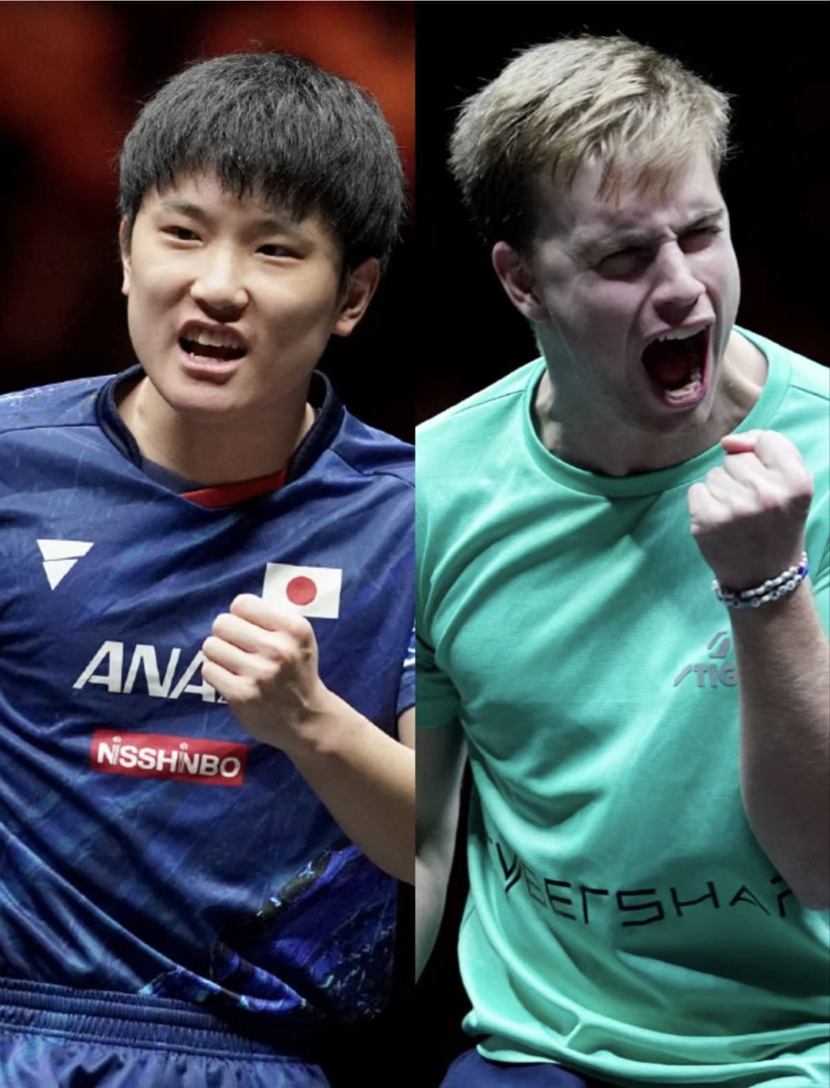 包含韩国队绝杀葡萄牙队,张本智和关键制胜的词条 包含韩国队绝杀葡萄牙队,张本智和关键制胜的词条