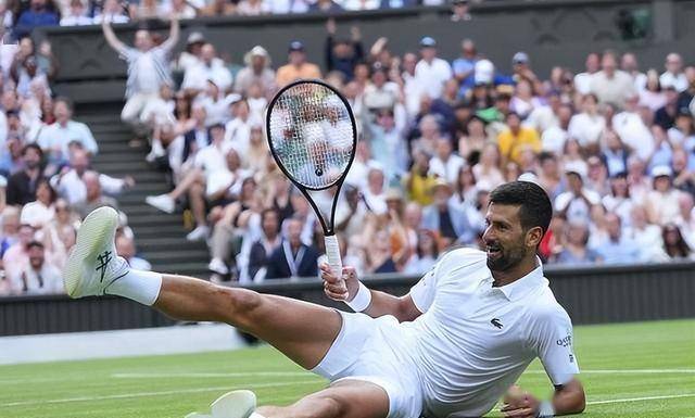 关于温网横扫美网，德约科维奇高光表现的信息