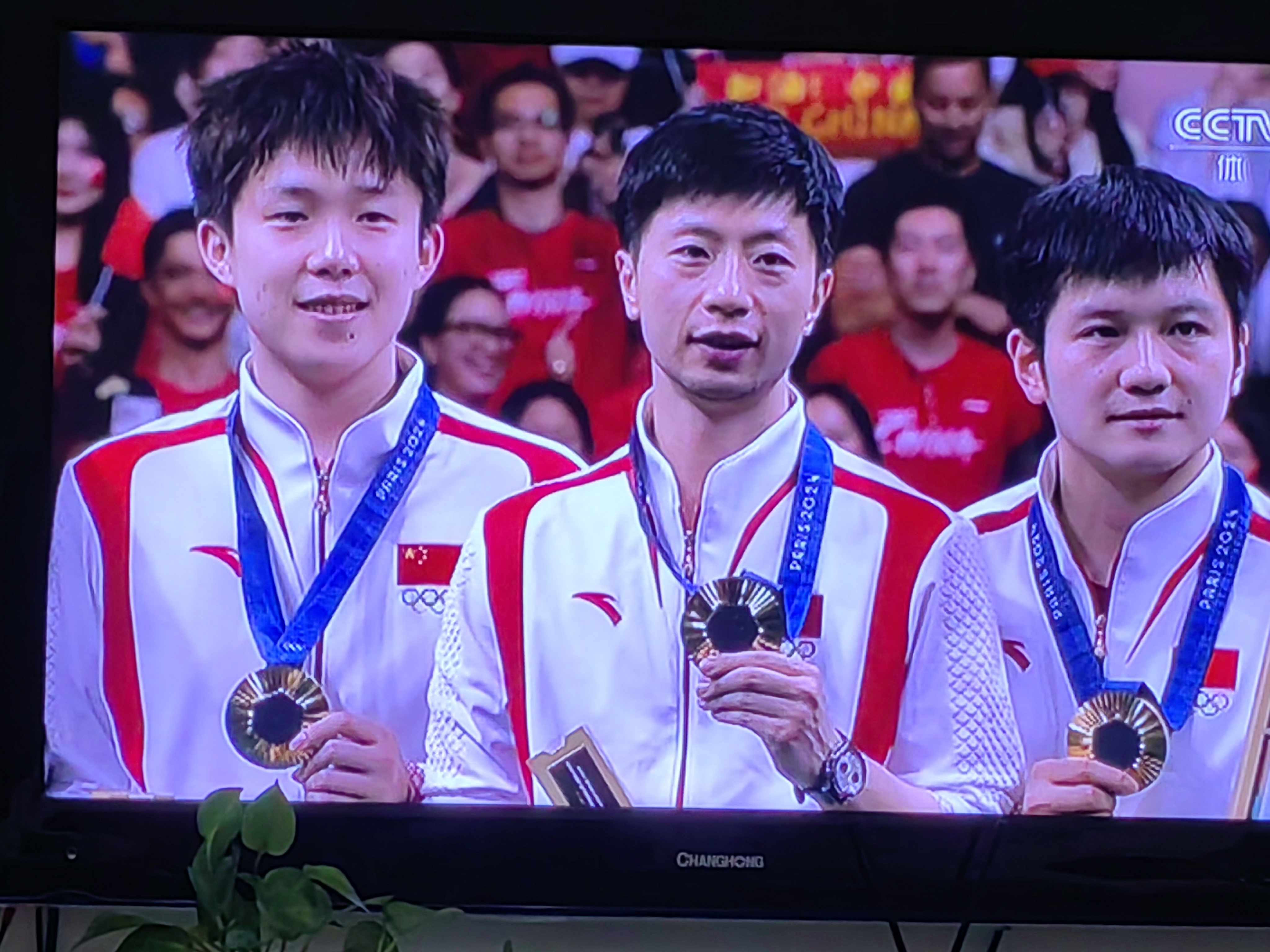 瑞典队完胜英格兰队,许昕统治全场的简单介绍 瑞典队完胜英格兰队,许昕统治全场的简单介绍