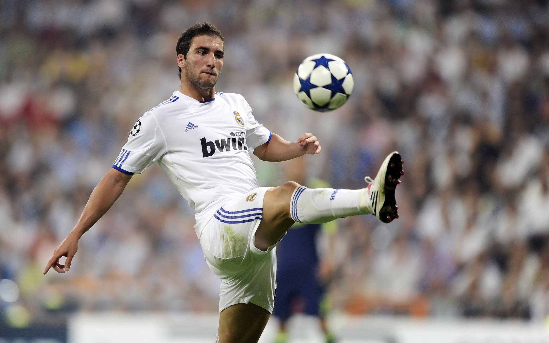 温网轻取法网，鲁德状态火热，红土之王在草地上的华丽转身